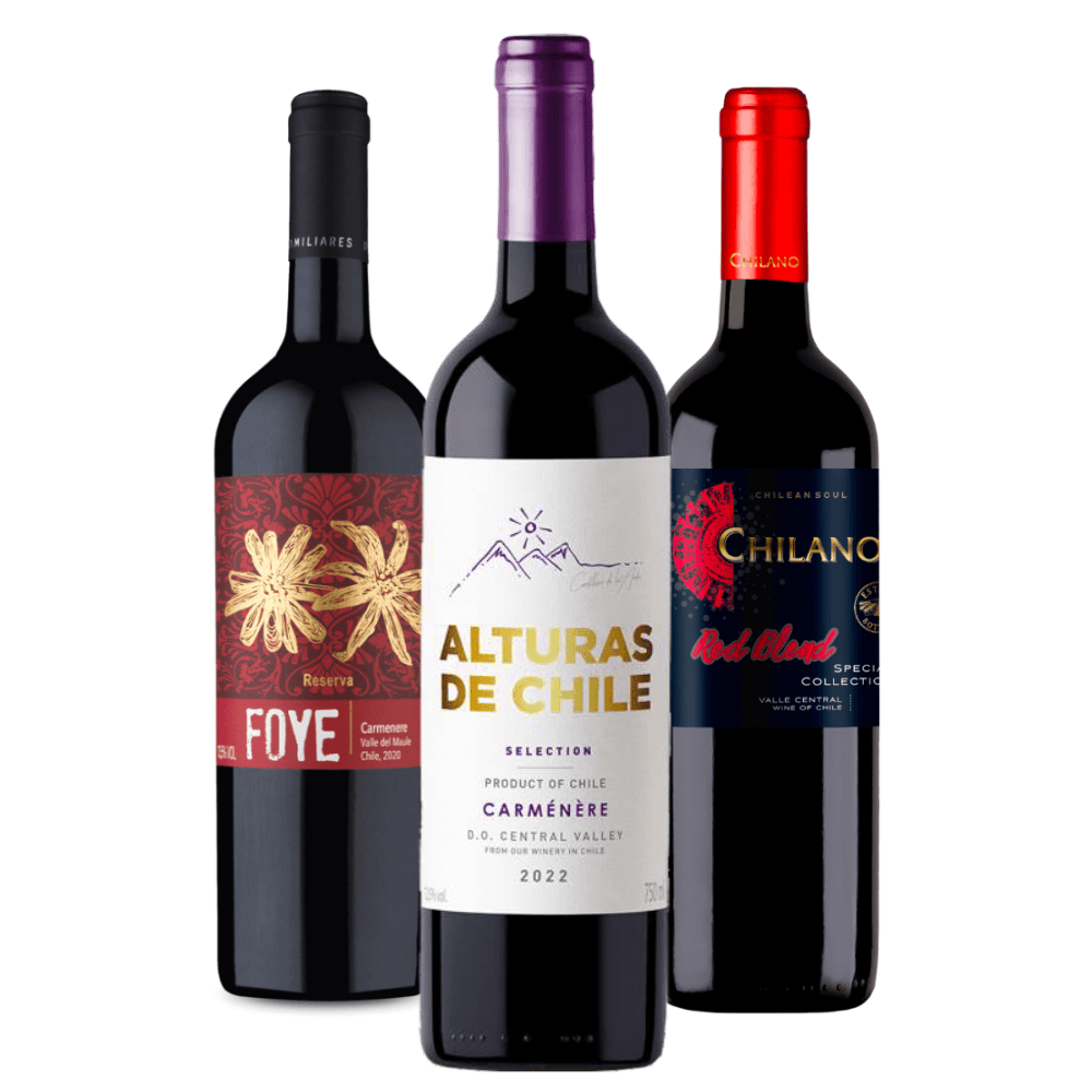 Combo 3 Vinhos Tintos do Chile