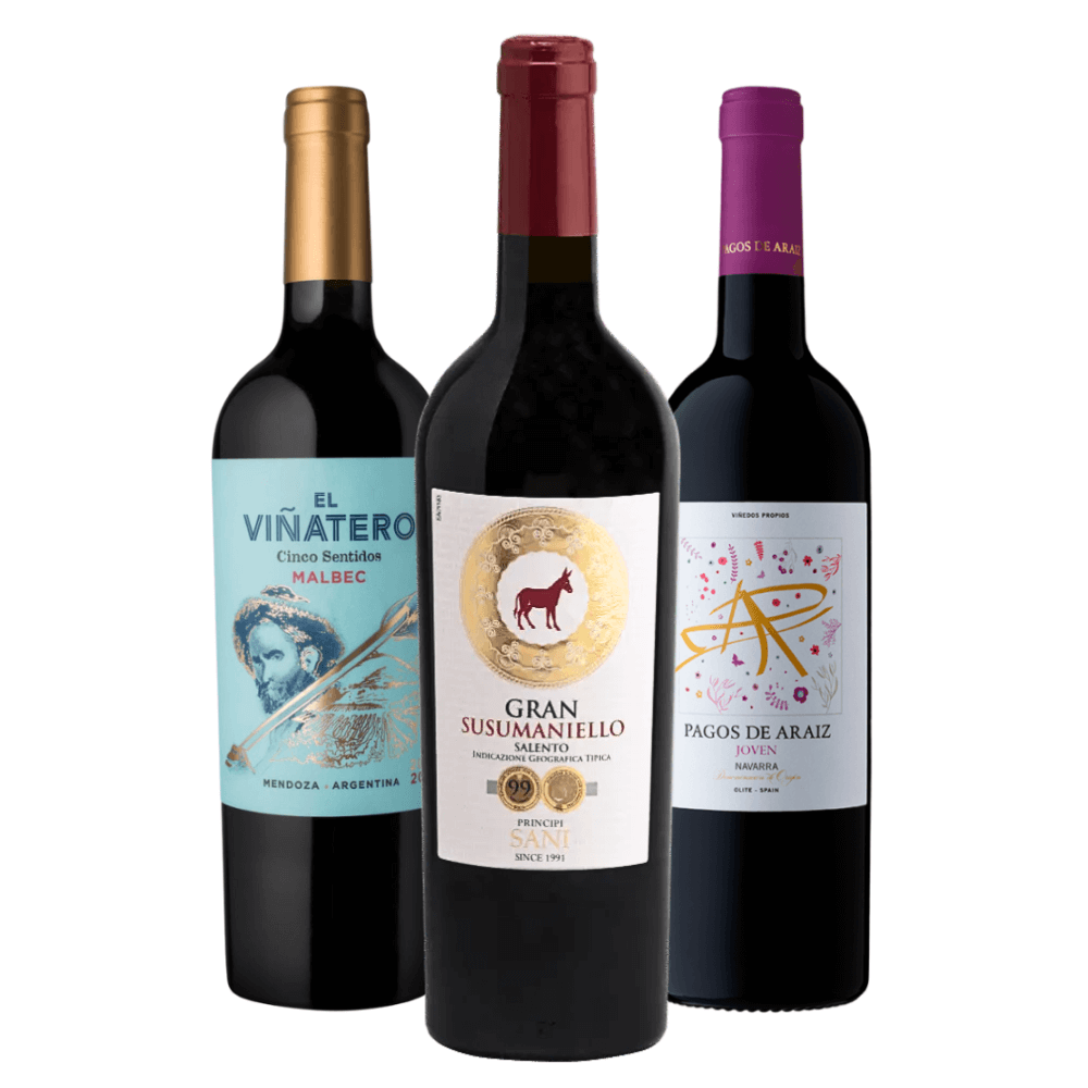 Combo Vinhos Tintos: Argentina, Itália, Espanha