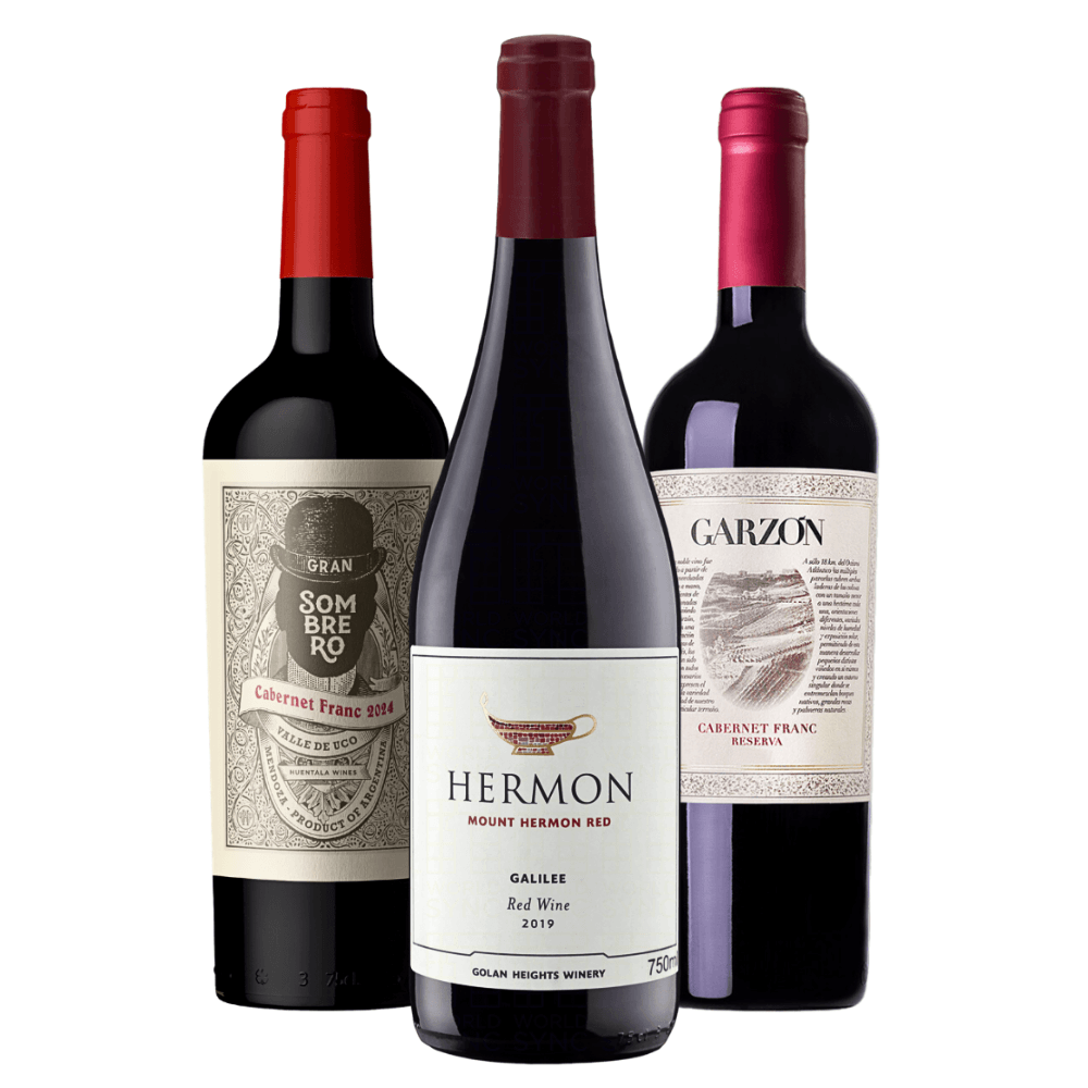 Kit Grandes Vinhos de Argentina, Israel e Uruguai