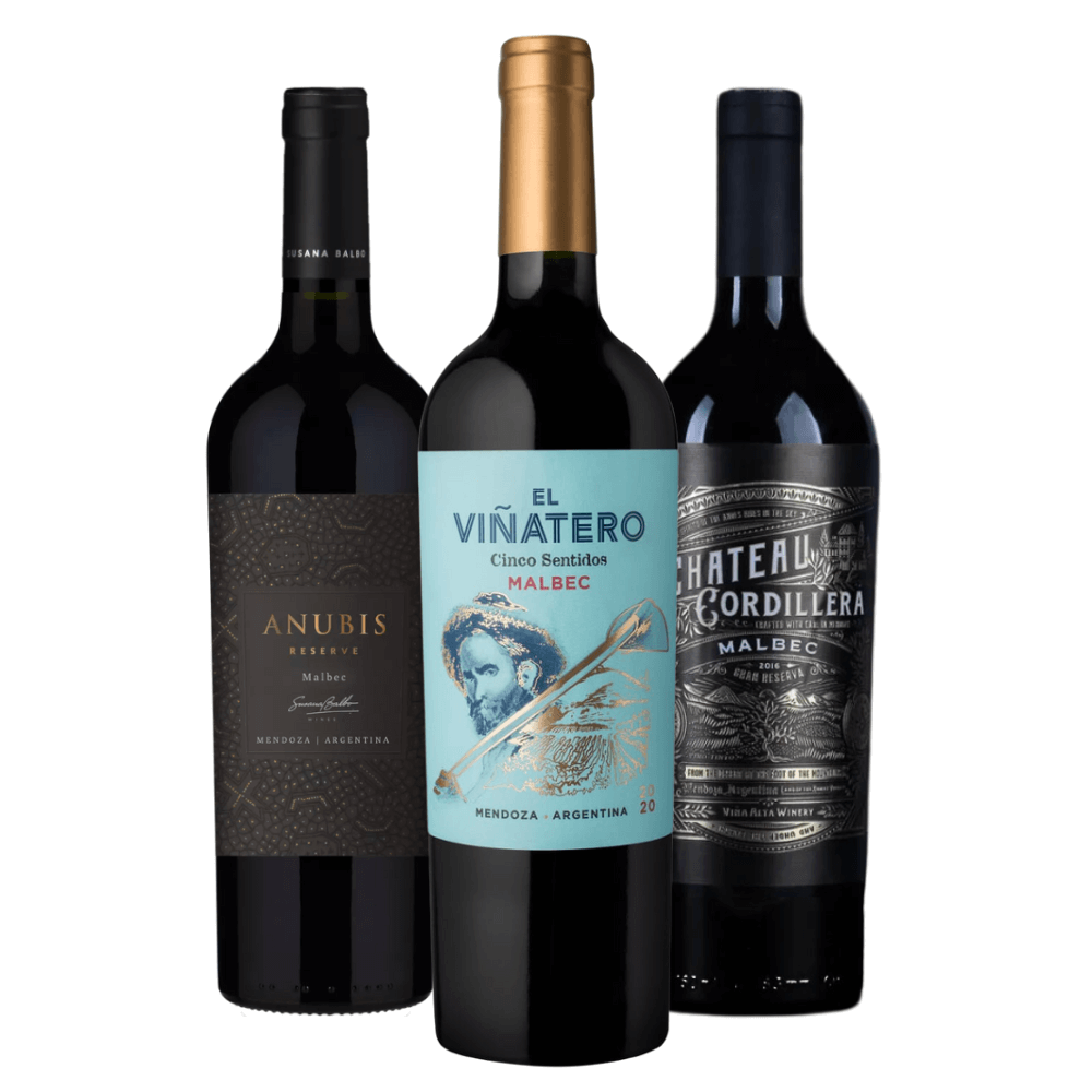 Kit Malbec Argentina: Anubis Reserve, El Viñatero, Chateau Cordillera