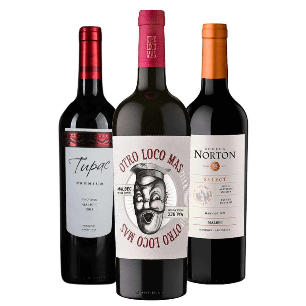 Kit Malbec Argentino: Tupac, Otro Loco Mas, Norton