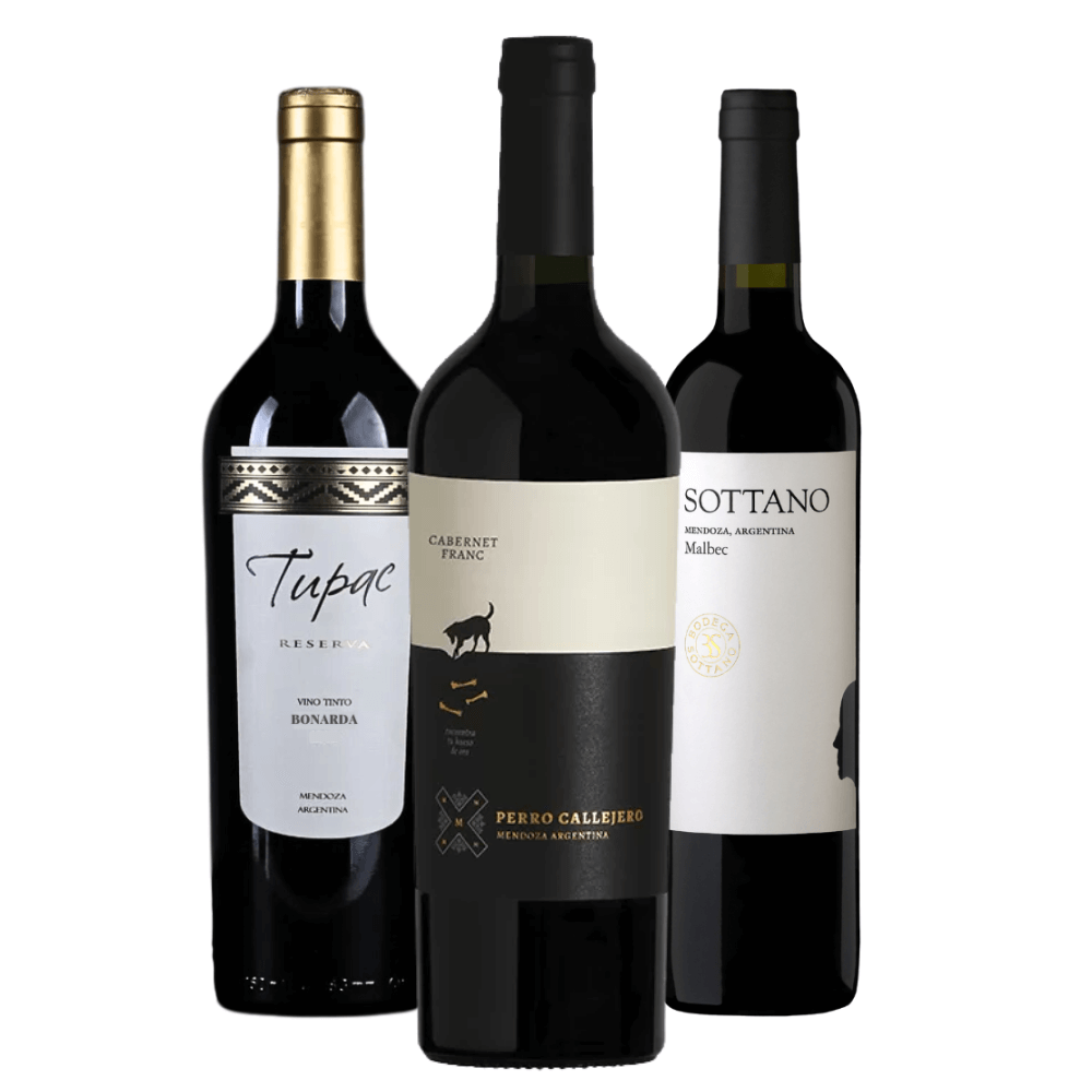 Kit Tintos Argentinos: Tupac Bonarda, Sottano Malbec, Perro Callejero Cabernet Franc