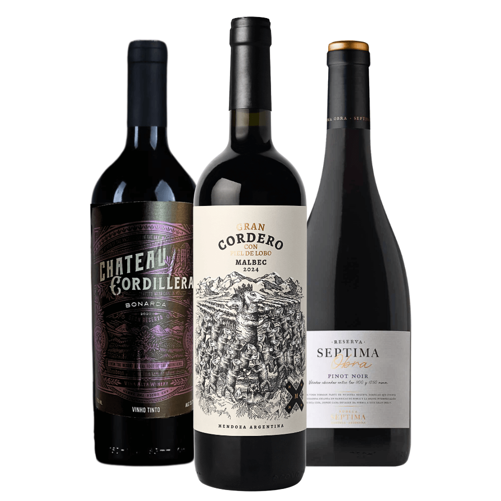 Kit Vinhos Argentinos: Bonarda, Malbec, Pinot Noir