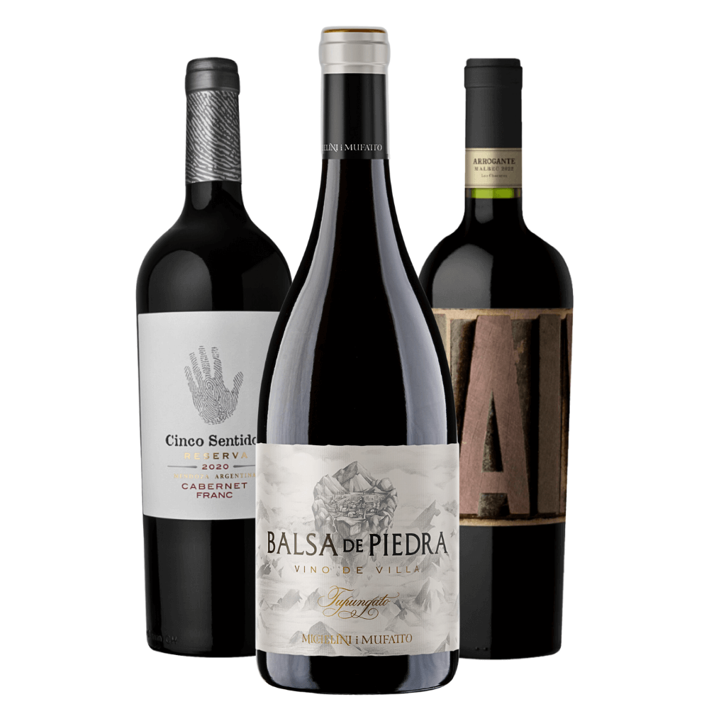 Kit Vinhos Argentinos: Cinco Sentidos, Balsa de Piedra, Colosso Arrogante