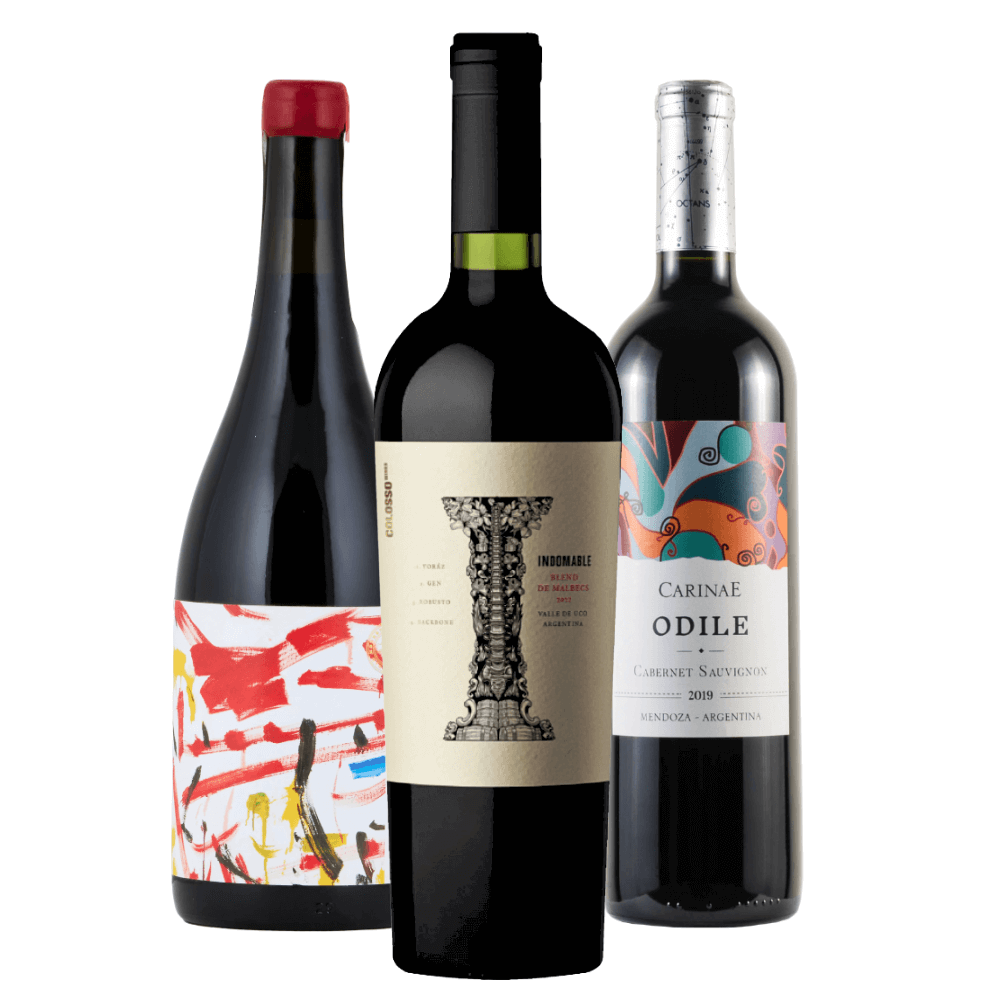 Kit Vinhos Argentinos: Edad Moderna, Indomable, Carinae