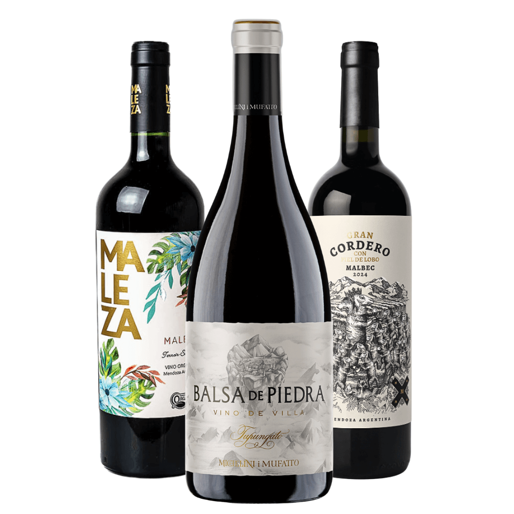 Kit Vinhos Argentinos: Maleza, Balsa de Piedra, Gran Cordero