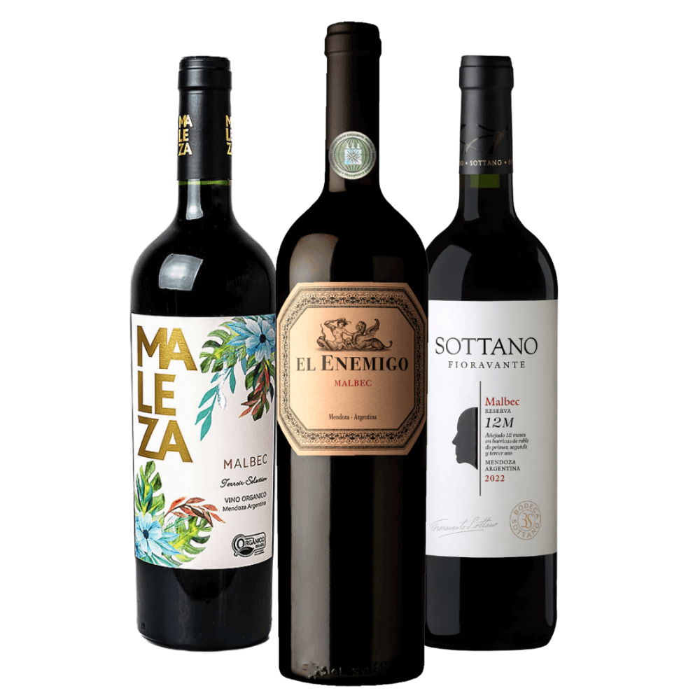 Kit Vinhos Argentinos: Maleza, El Enemigo, Sottano
