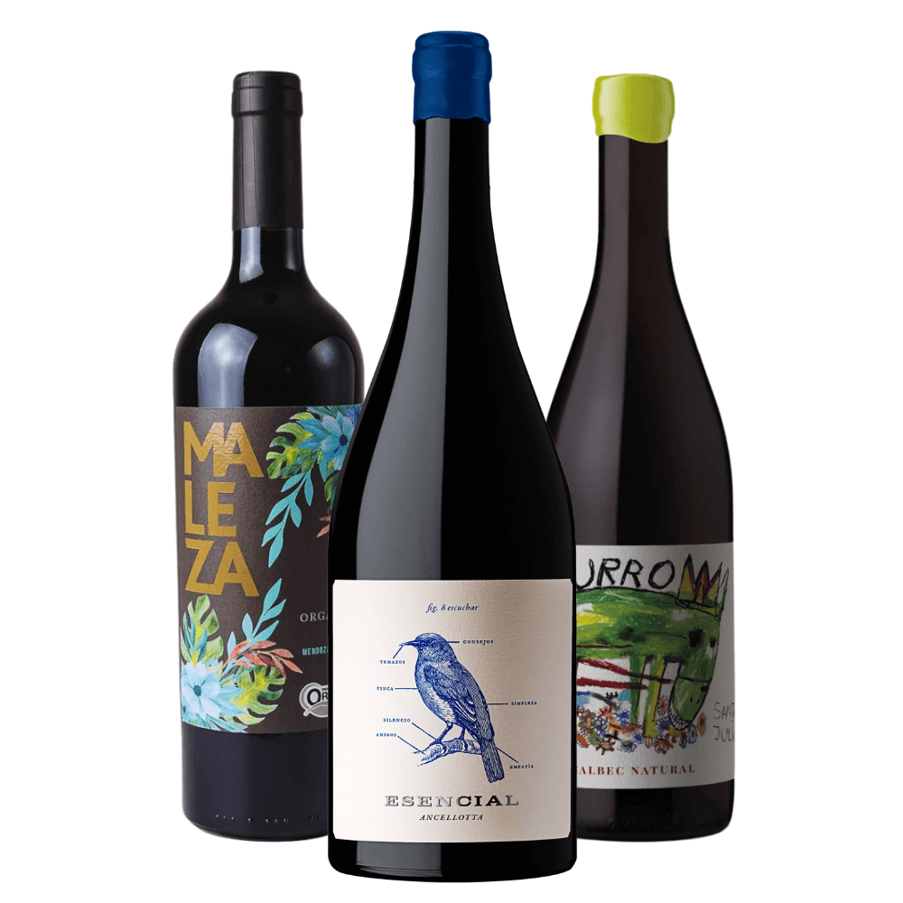 Kit Vinhos Argentinos: Maleza, Esencial, El Burro