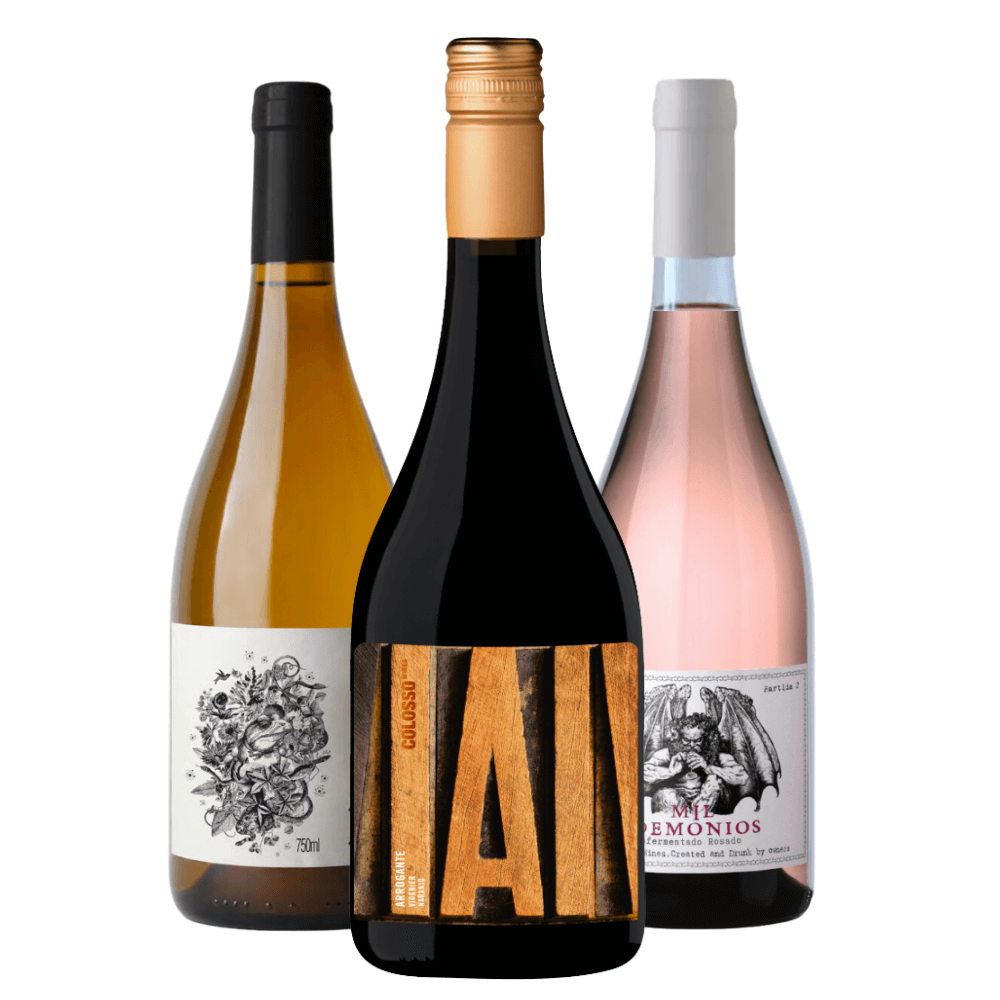 Kit Vinhos Argentinos: Sapo de Otro Pozo, Arrogante Naranjo, Mil Demônios Rosé