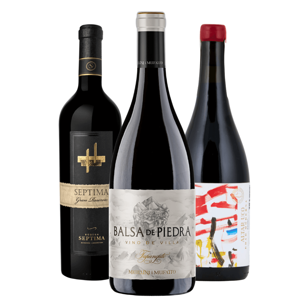 Kit Vinhos Argentinos: Septima, Balsa de Piedra, Altar Uco