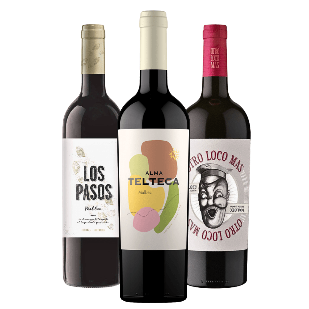 Kit Vinhos Argentinos: Septima, Telteca, Otro Loco