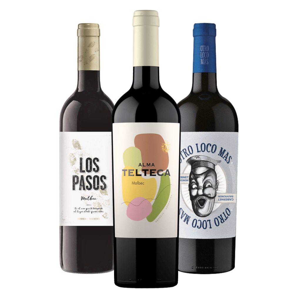 Kit Vinhos Argentinos: Septima, Telteca, Otro Loco