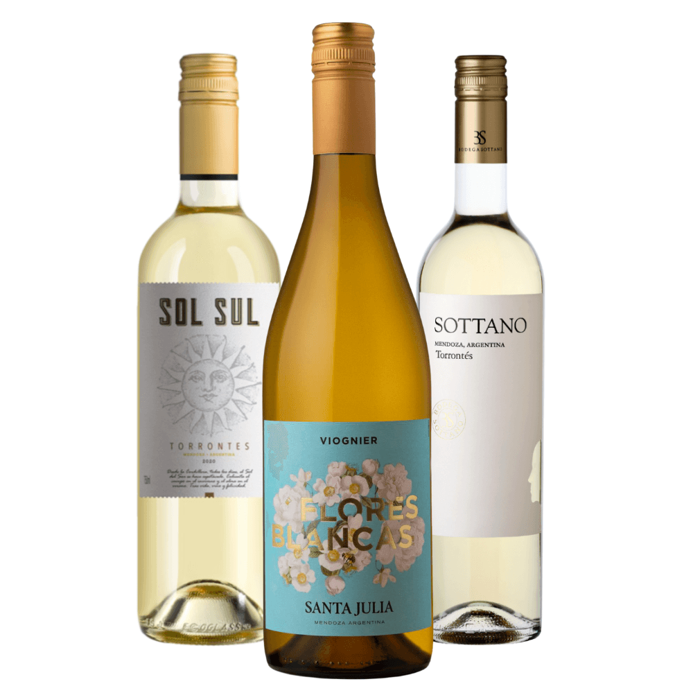 Kit Vinhos Argentinos: Sol Sul, Flores Blancas, Sottano