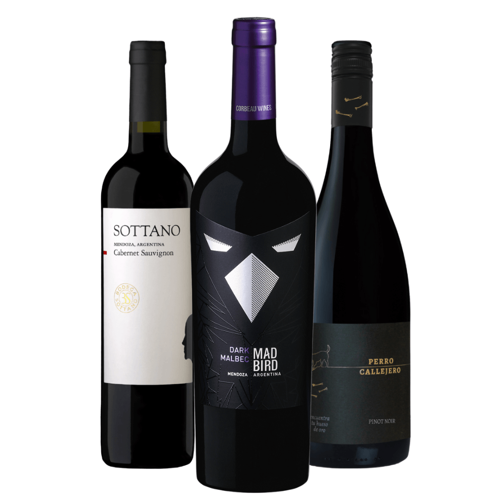 Kit Vinhos Argentinos: Sottano, Mad Bird, Perro Callejero