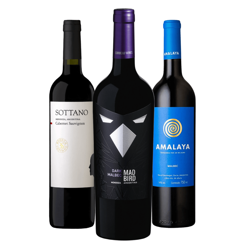 Kit Vinhos Argentinos: Sottano, Mad Bird, Perro Callejero