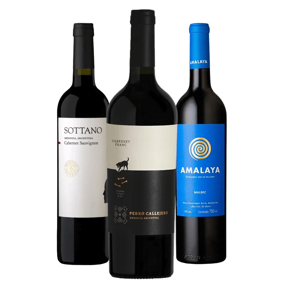 Kit Vinhos Argentinos: Sottano, Perro Callejero, Amalaya