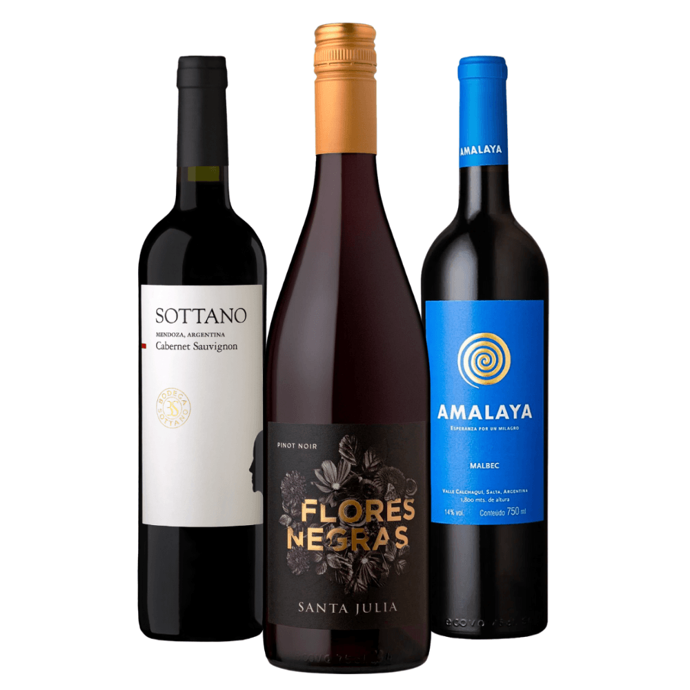 Kit Vinhos Argentinos: Sottano, Santa Julia, Amalaya