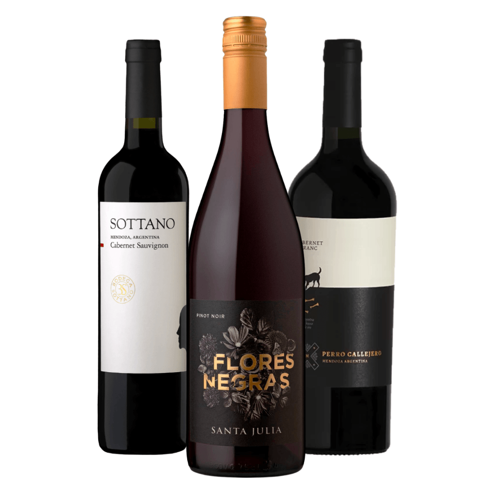 Kit Vinhos Argentinos: Sottano, Santa Julia, Perro Callejero