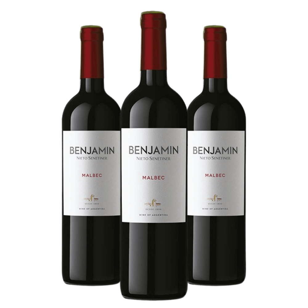 Kit Vinhos Benjamin Nieto Senetiner Malbec 2020 - 3 Unidades