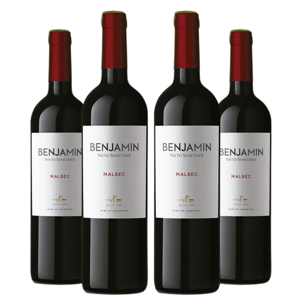 Kit Vinhos Benjamin Nieto Senetiner Malbec 2020 - 4 Unidades