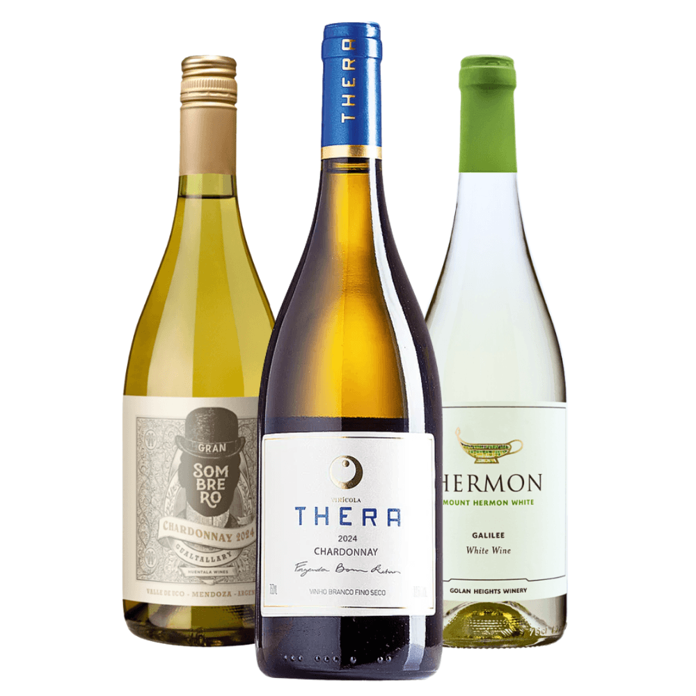 Kit Vinhos Brancos Argentina Brasil Israel