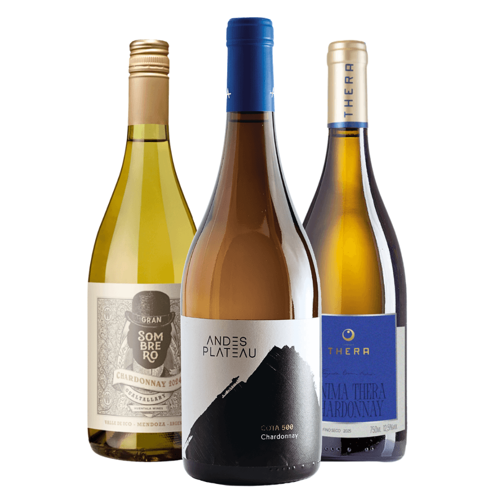 Kit Vinhos Brancos Argentina, Chile, Brasil