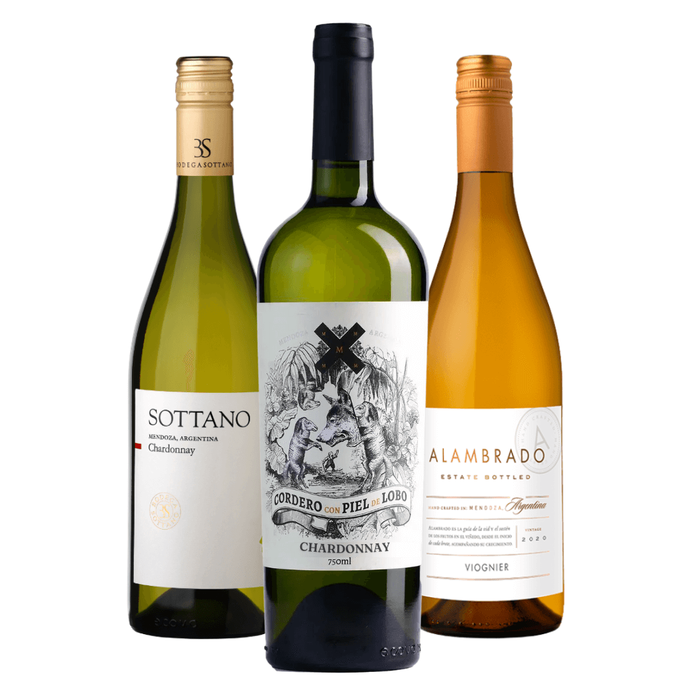Kit Vinhos Brancos Argentinos: Sottano, Cordero Con Piel de Lobo, Alambrado