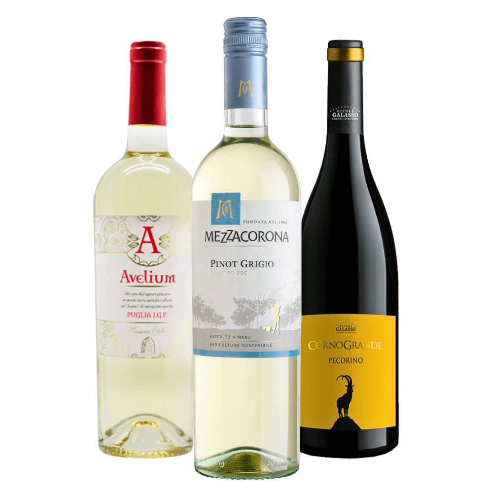 Kit Vinhos Brancos Italianos: Avelium, Mezzacorona, Ettore Galasso