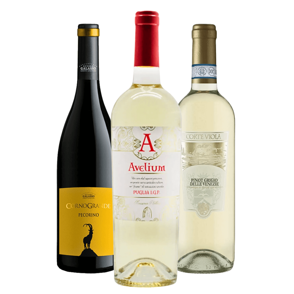 Kit Vinhos Brancos Italianos: Terre di Chieti, Puglia, Venezie