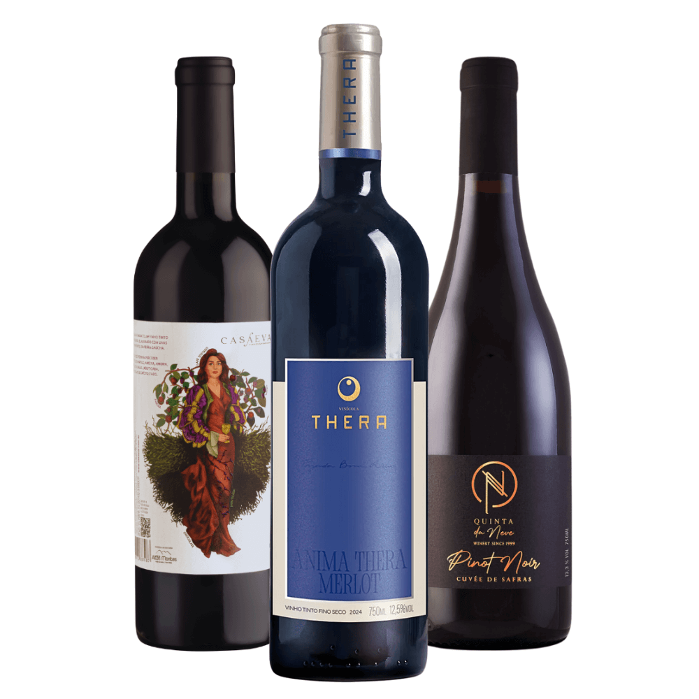 Kit Vinhos Brasileiros: Casa Eva, Thera, Quinta da Neve