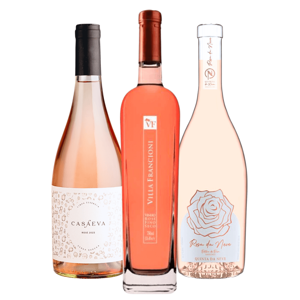 Kit Vinhos Brasileiros: Casaeva, Villa Francioni, Quinta da Neve