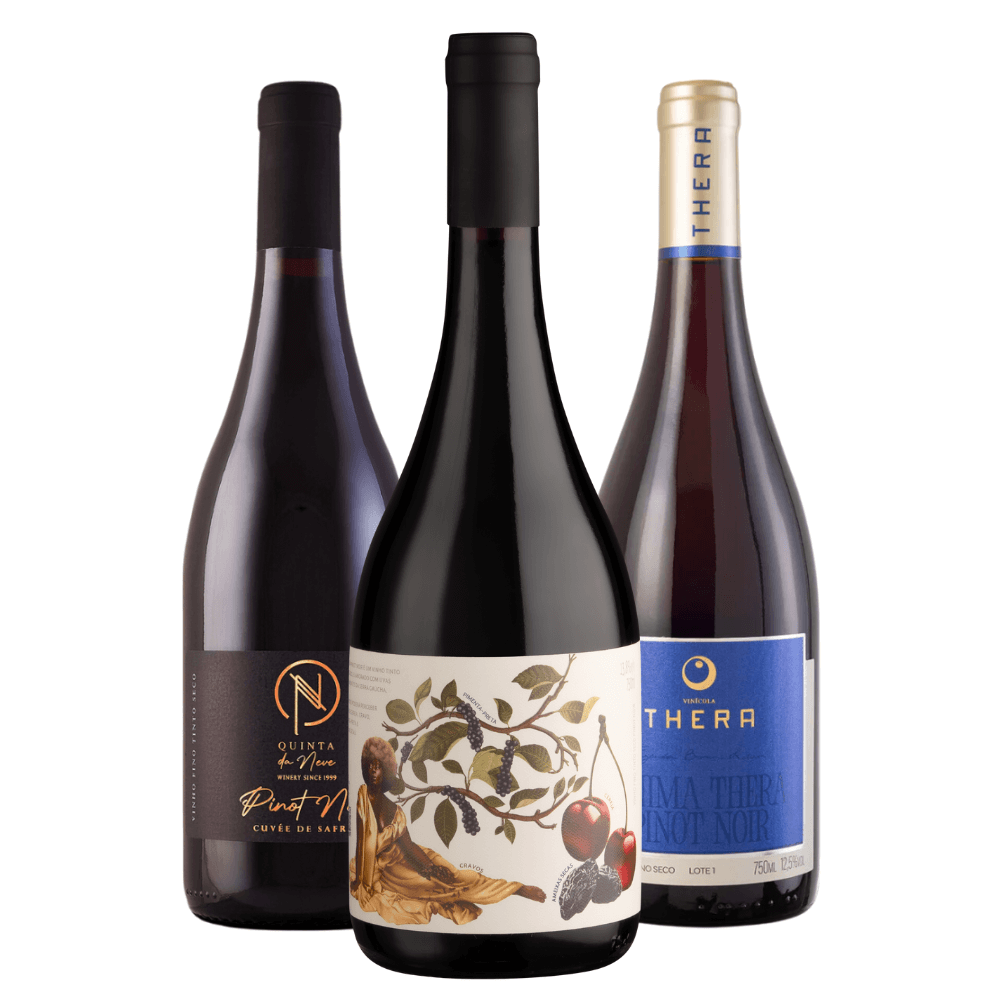 Kit Vinhos Brasileiros Pinot Noir: Quinta da Neve, Casa Eva, Thera