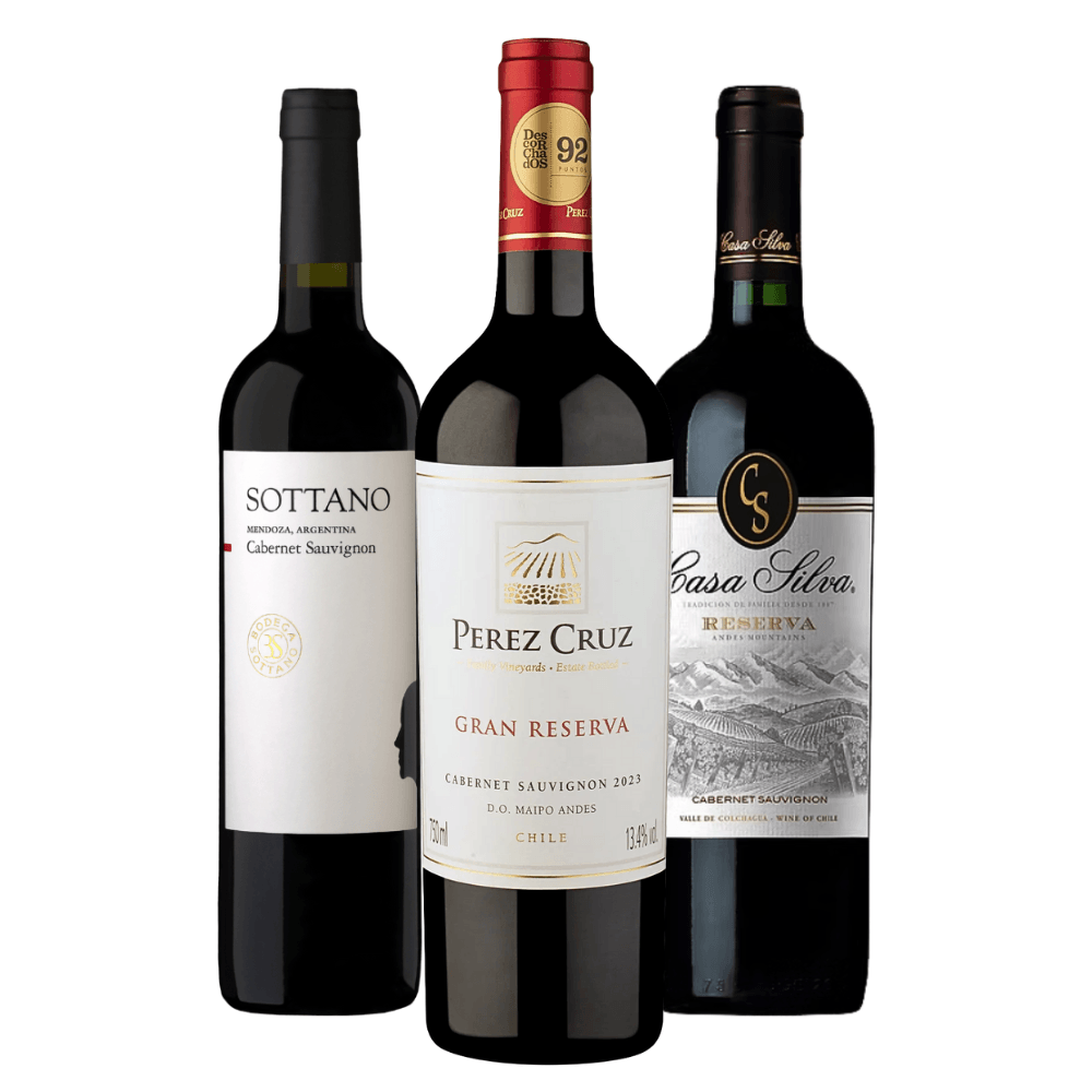 Kit Vinhos Cabernet Sauvignon Argentina e Chile
