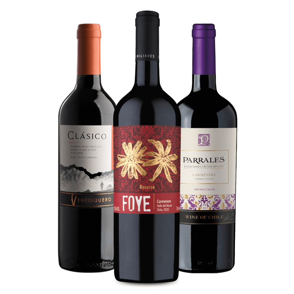 Kit Vinhos Carmenere: Ventisquero Clásico, Foye Reserva, Parrales