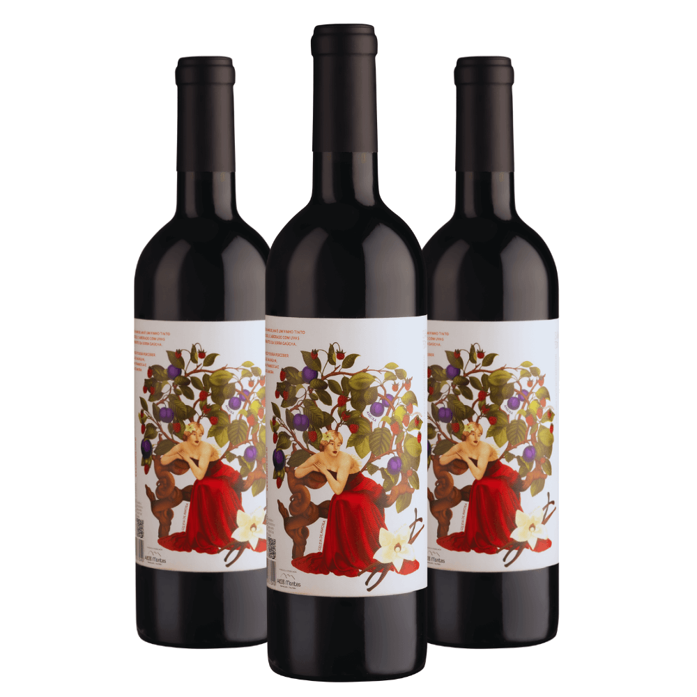 Kit Vinhos Casa Eva Sentidos Marselan - 3 Unidades
