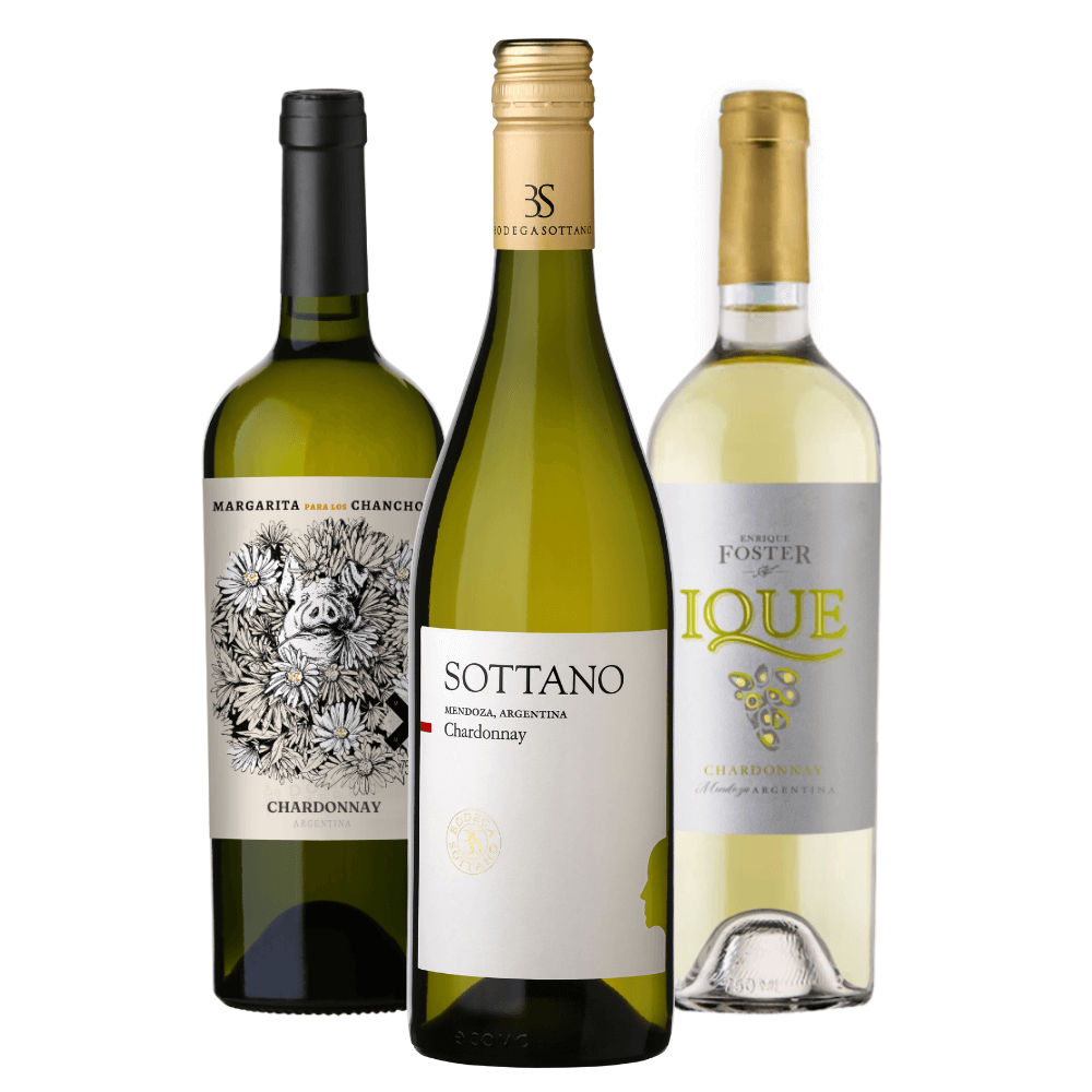 Kit Vinhos Chardonnay: Margarita para Los Chanchos, Sottano, Ique