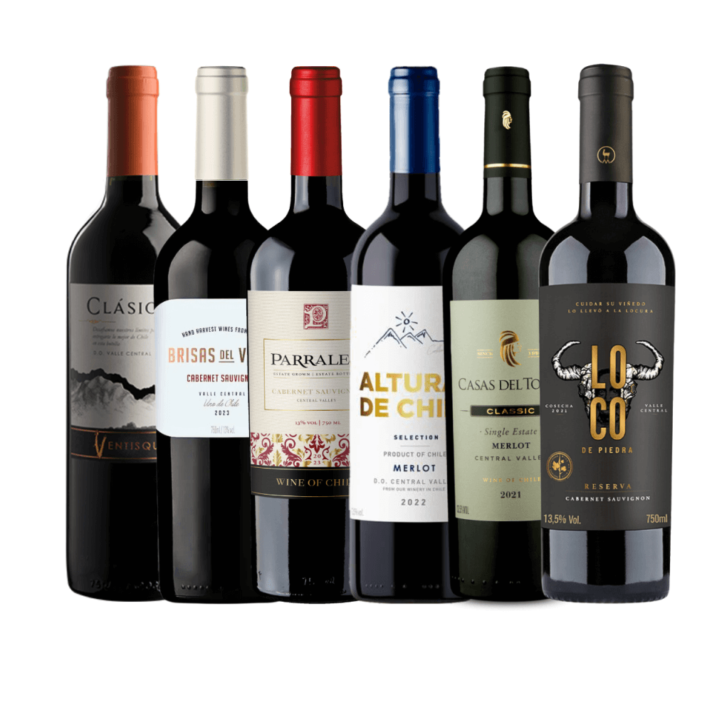 Kit Vinhos Chilenos - 6 Unidades