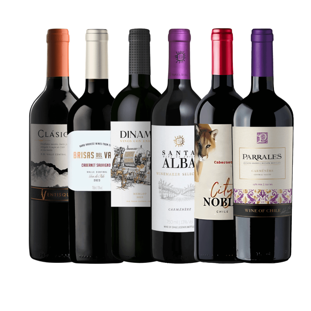 Kit Vinhos Chilenos - 6 Unidades