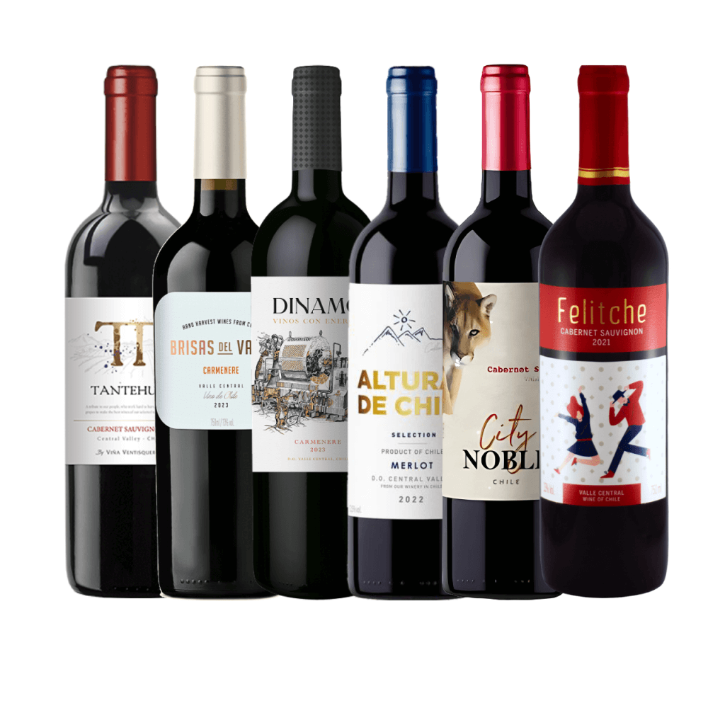 Kit Vinhos Chilenos - 6 Unidades