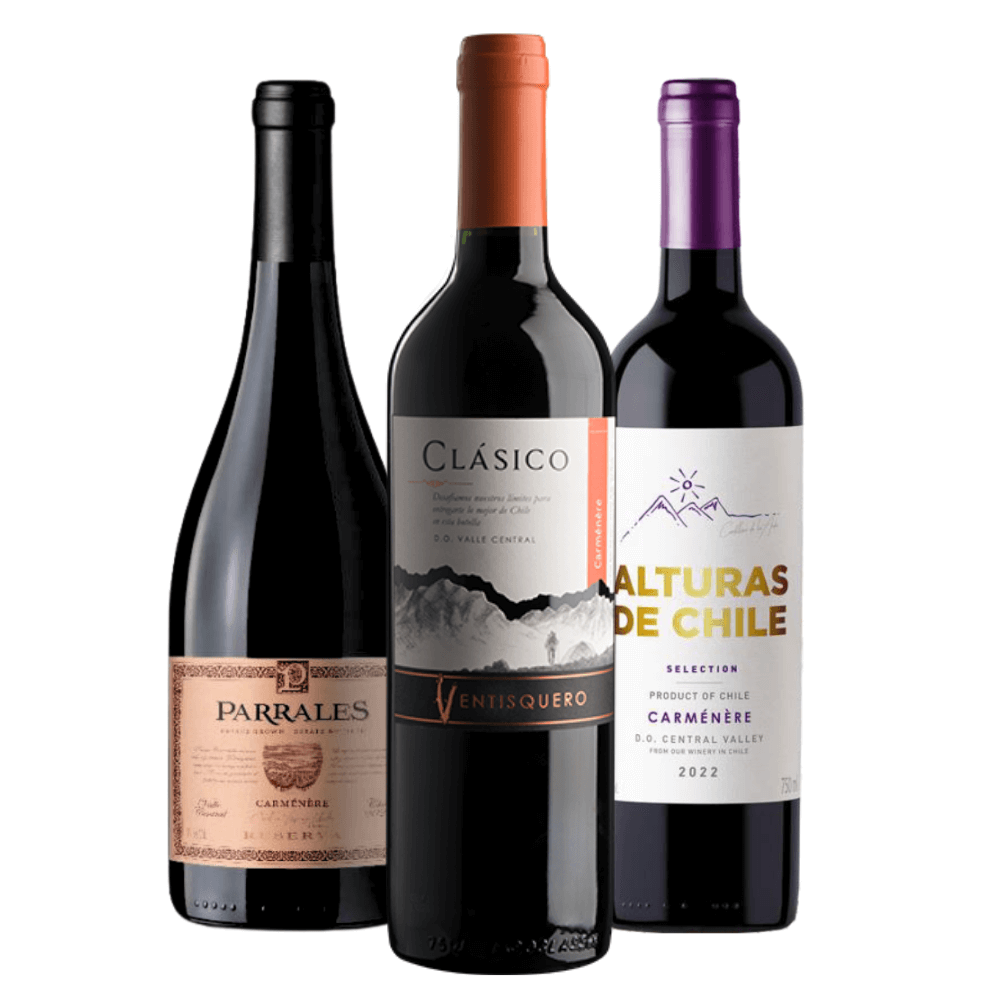 Kit Vinhos Chilenos Carmènére: Parrales Reserva, Ventisquero Clásico, Alturas de Chile