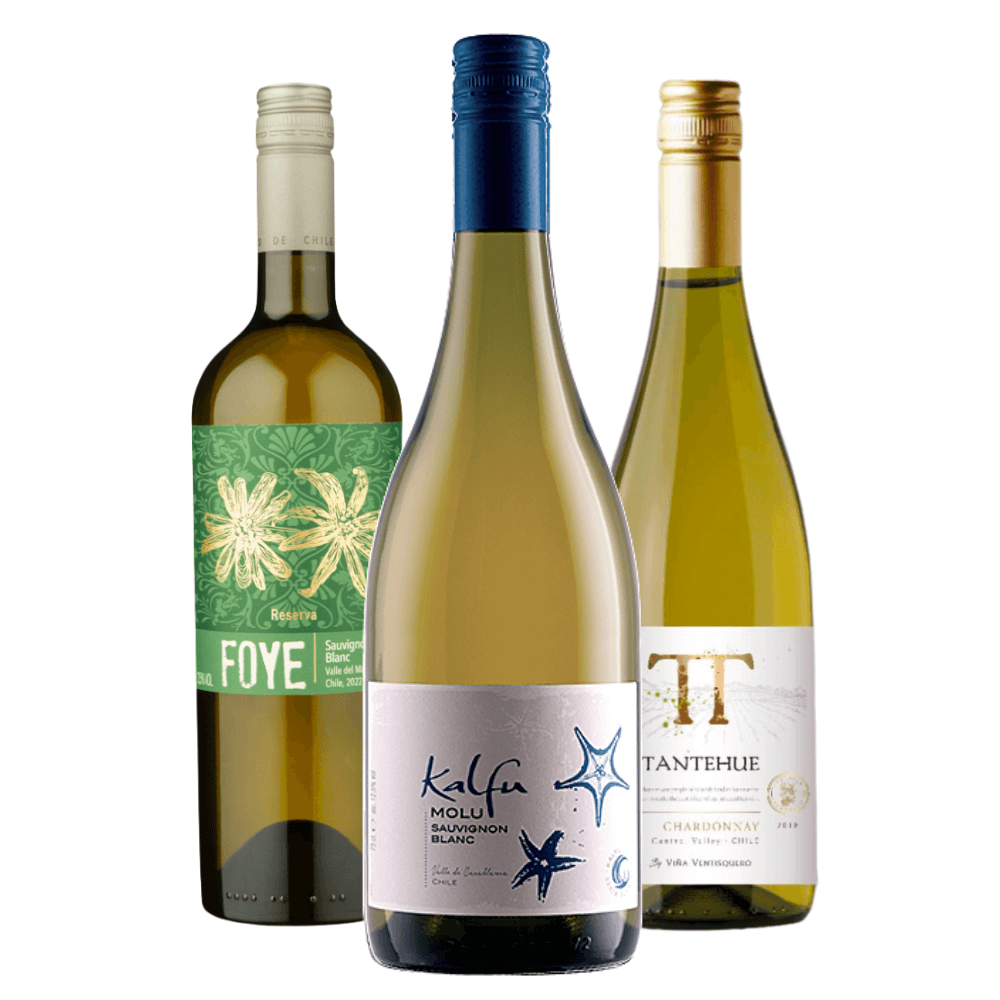 Kit Vinhos Chilenos: Foye, Kalfu, Tantehue