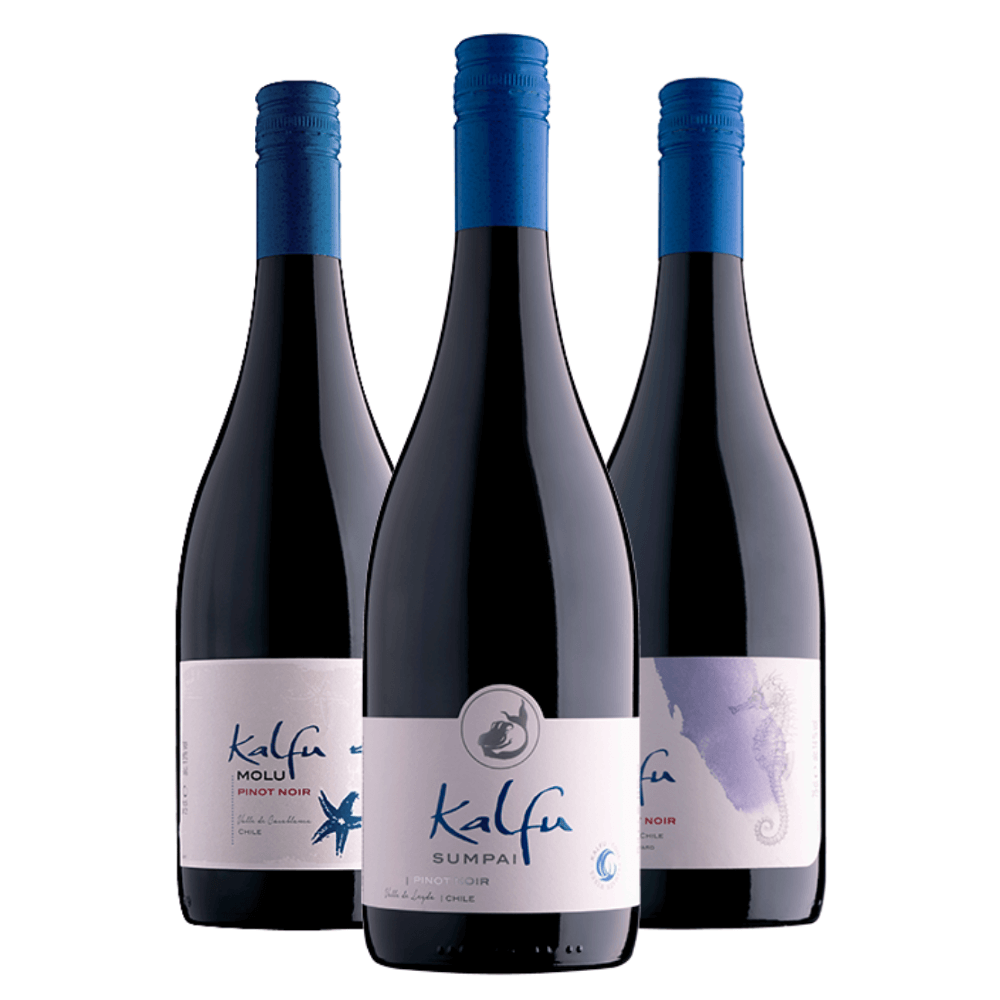Kit Vinhos Chilenos Kalfu: Molu, Kuda, Sumpai