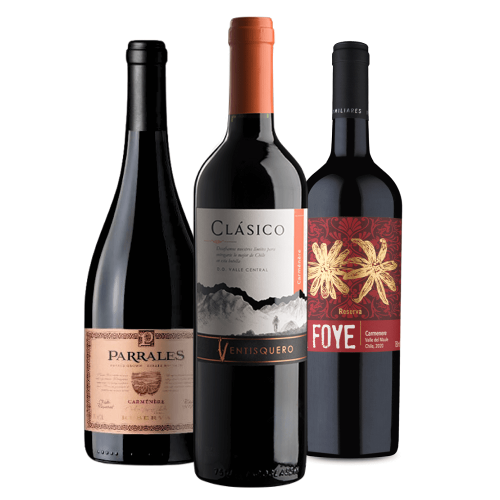Kit Vinhos Chilenos: Parrales Reserva, Ventisquero Clásico, Foye Reserva