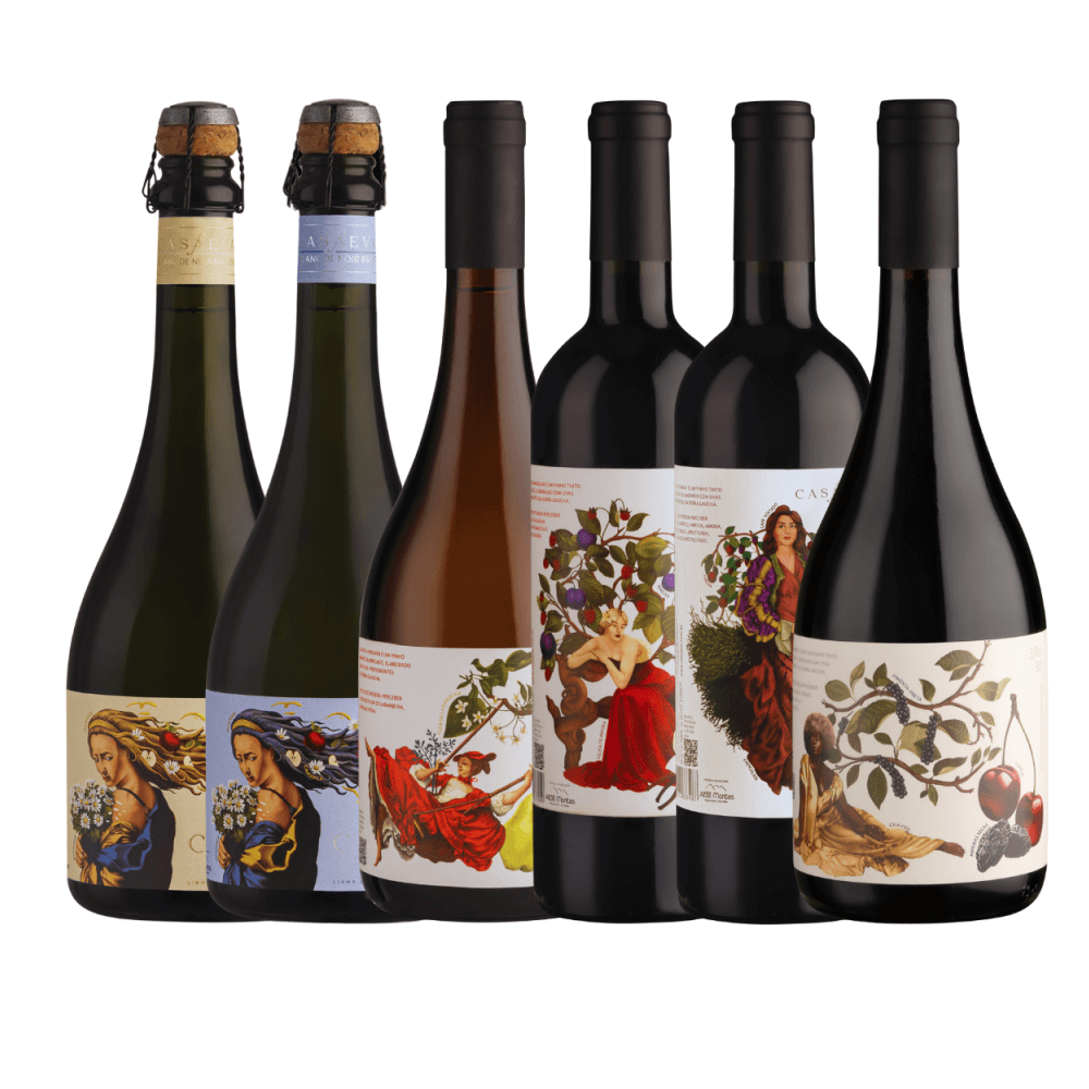 Kit Vinhos e Espumantes Casaeva Sentidos - 6 Unidades