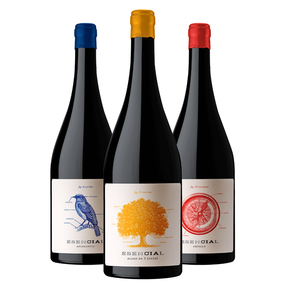 Kit Vinhos Esencial: Ancellotta, Blend, Criolla Rosado