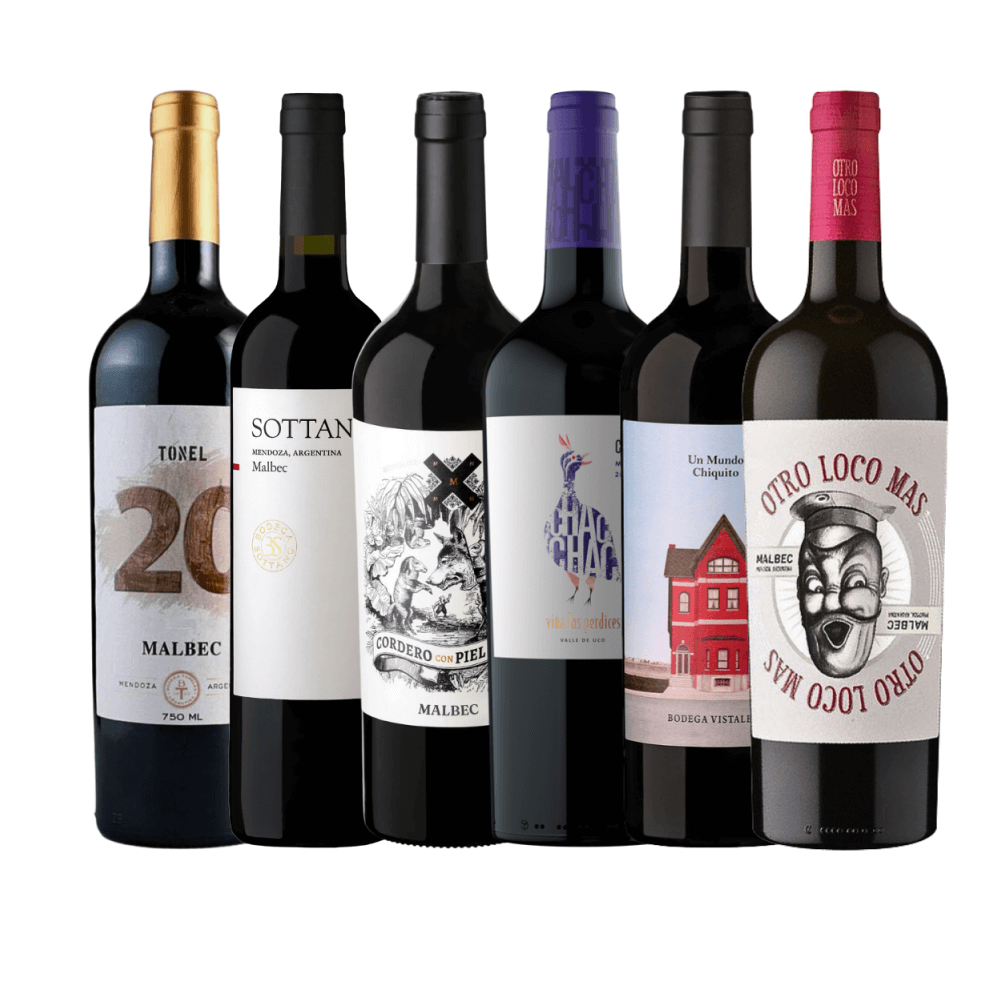 Kit Vinhos Malbec Argentina - 6 Unidades