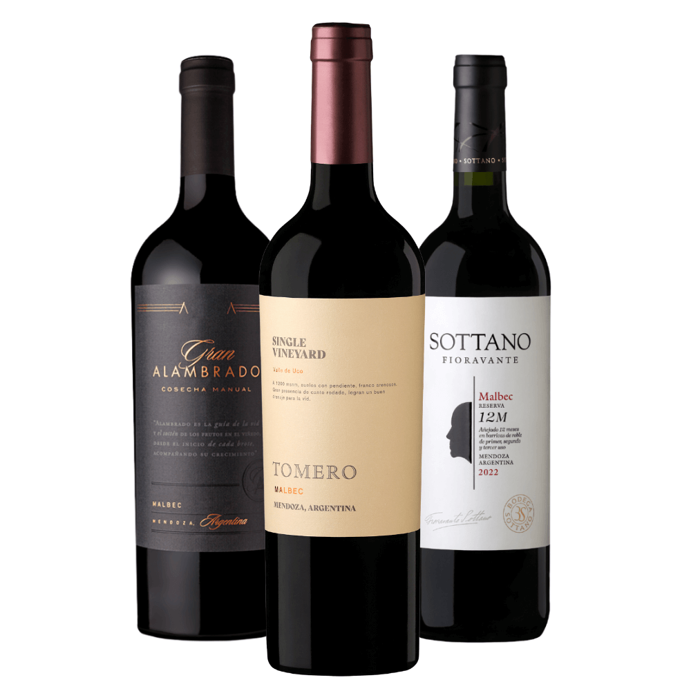 Kit Vinhos Malbec: Gran Alambrado, Tomero Single Vineyard, Sottano Reserva