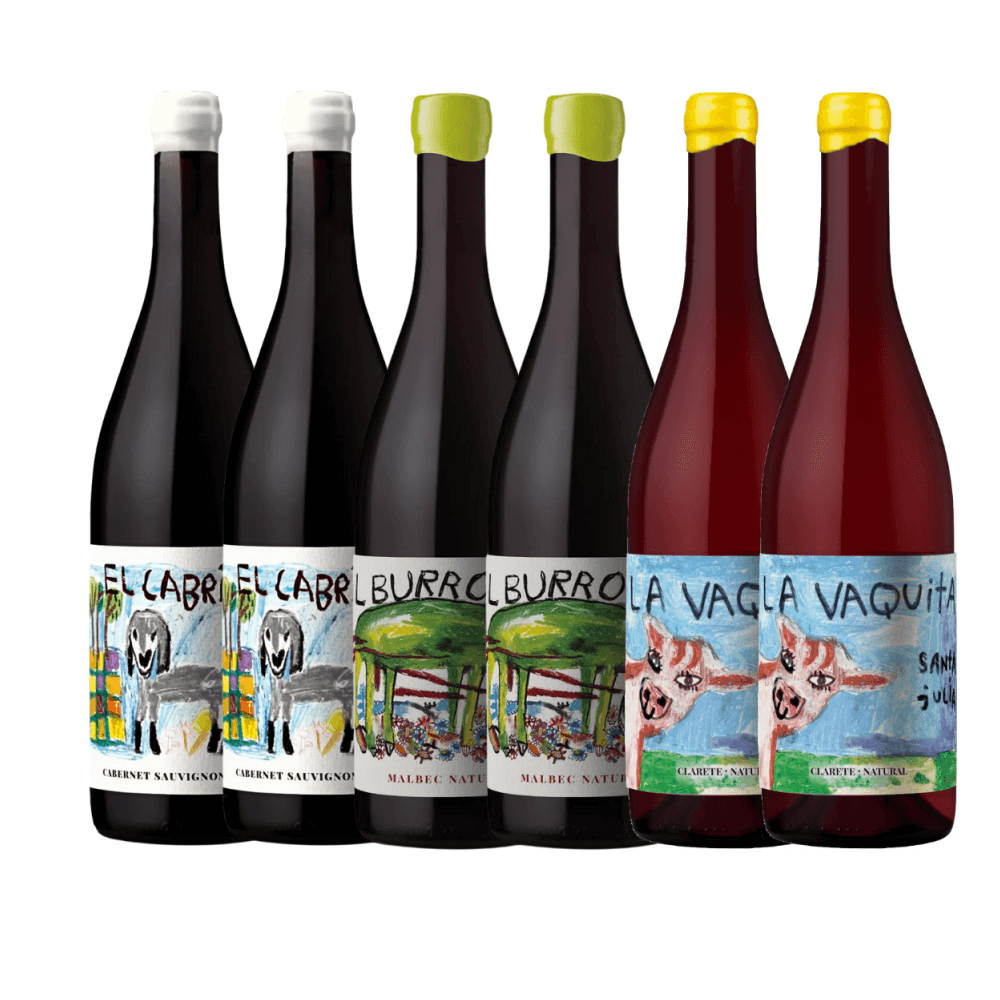 Kit Vinhos Naturais Santa Julia - 6 Unidades