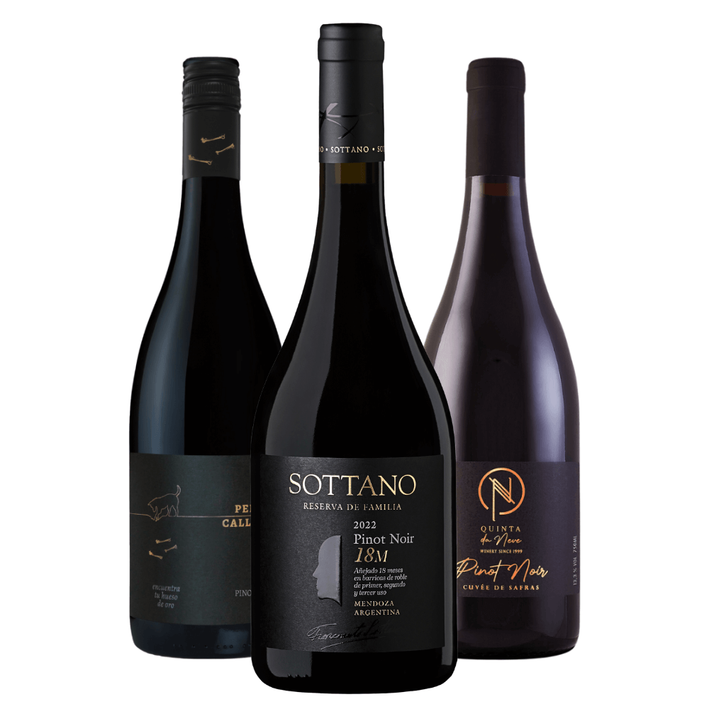 Kit Vinhos Pinot Noir: Mosquita Muerta, Bodega Sottano, Quinta da Neve