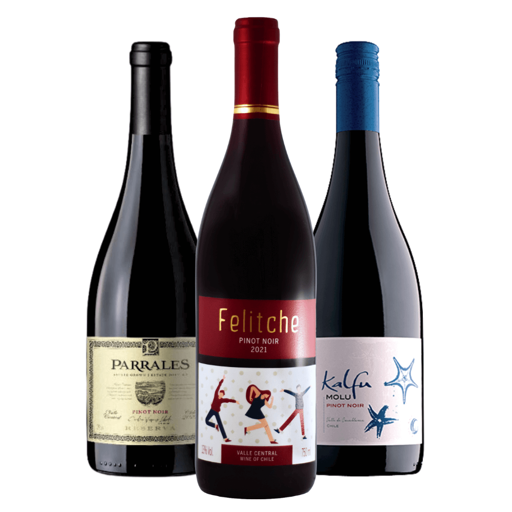 Kit Vinhos Pinot Noir: Parrales, Felitche, Kalfu